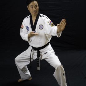 surpise-goodyear-best-taekwondo-master-an-pictures (21)
